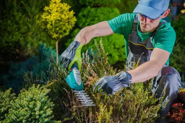 landscaping services Country Knolls
